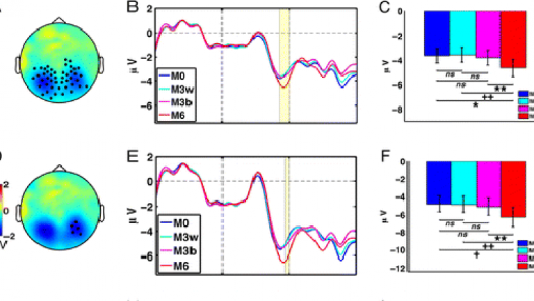 image for article, Research on human cognitive mechanisms