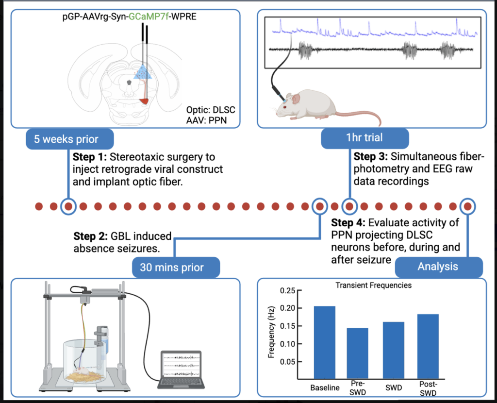 Graphical Abstract