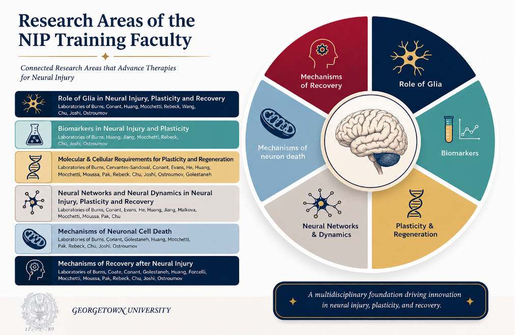 Research Areas of the NIP Training Faculty