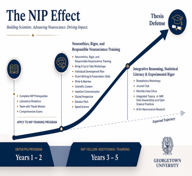 5 Year Steps to the NIP Training Program
